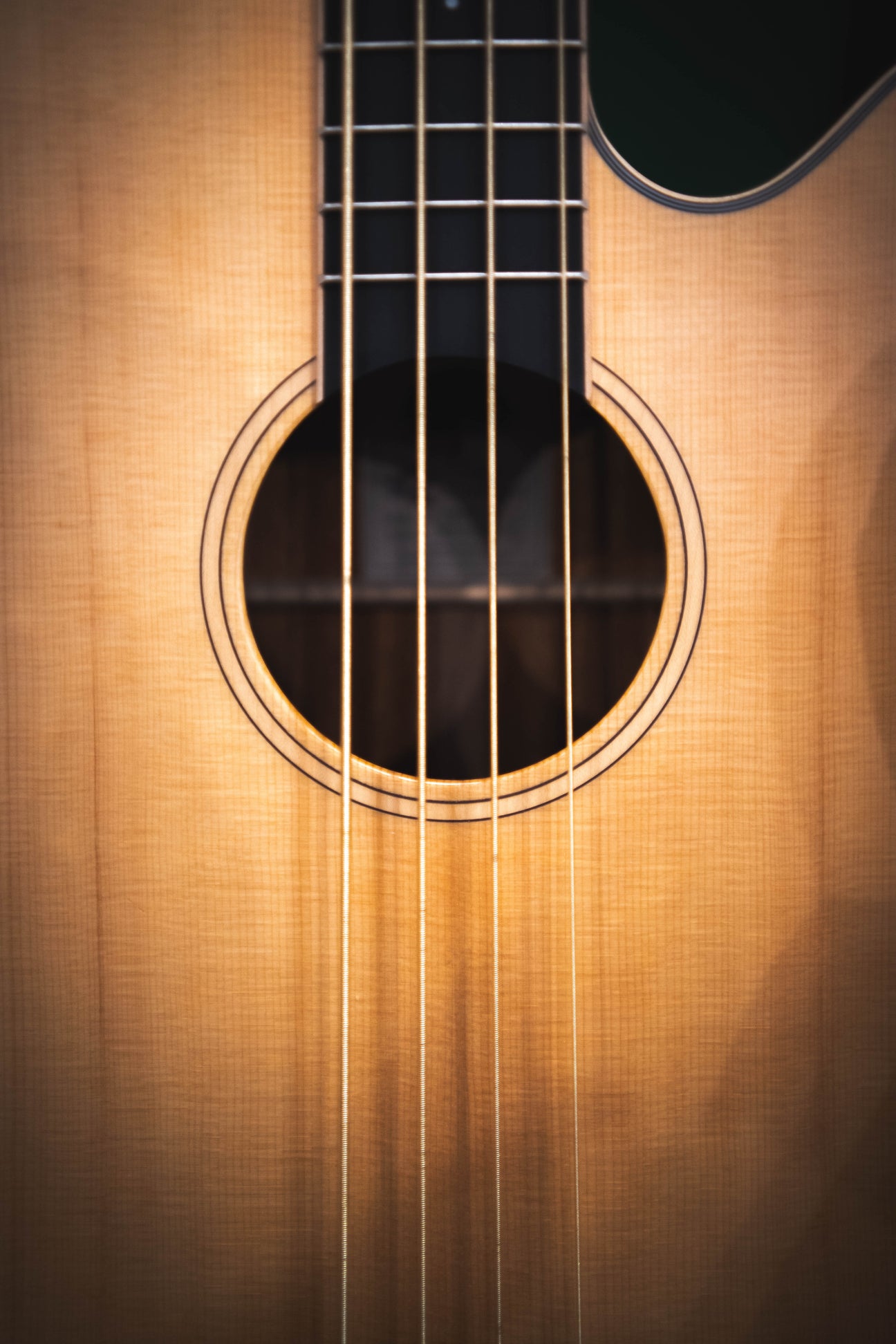 Acoustic Bass Guitars