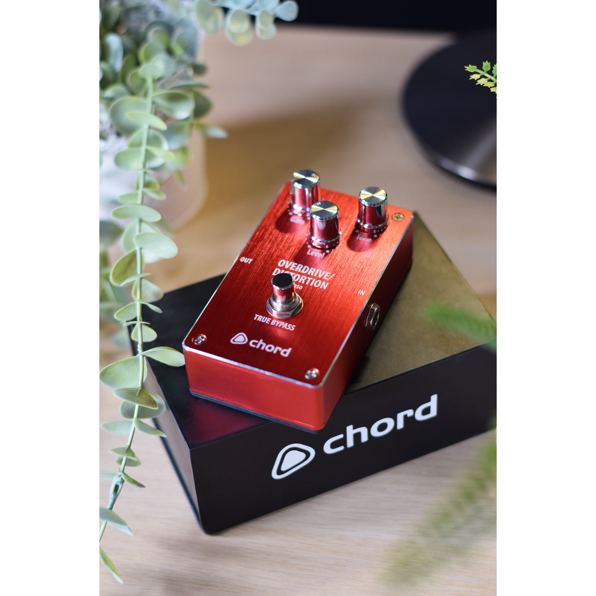 Chord OD-50 Overdrive/Distortion Pedal - Music Vault