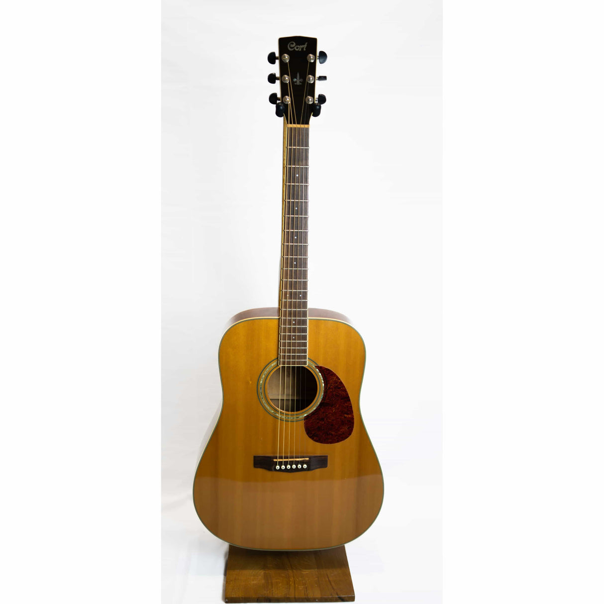 Cort Earth 200 Dreadnought Acoustic (Pre-Owned) - Music Vault
