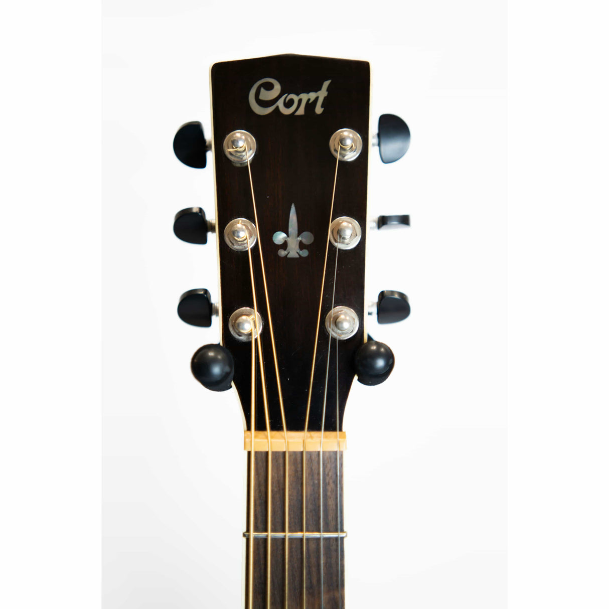 Cort Earth 200 Dreadnought Acoustic (Pre-Owned) - Music Vault