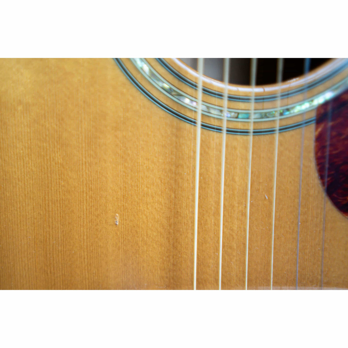 Cort Earth 200 Dreadnought Acoustic (Pre-Owned) - Music Vault