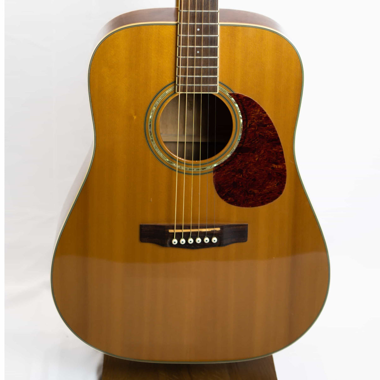 Cort Earth 200 Dreadnought Acoustic (Pre-Owned) - Music Vault