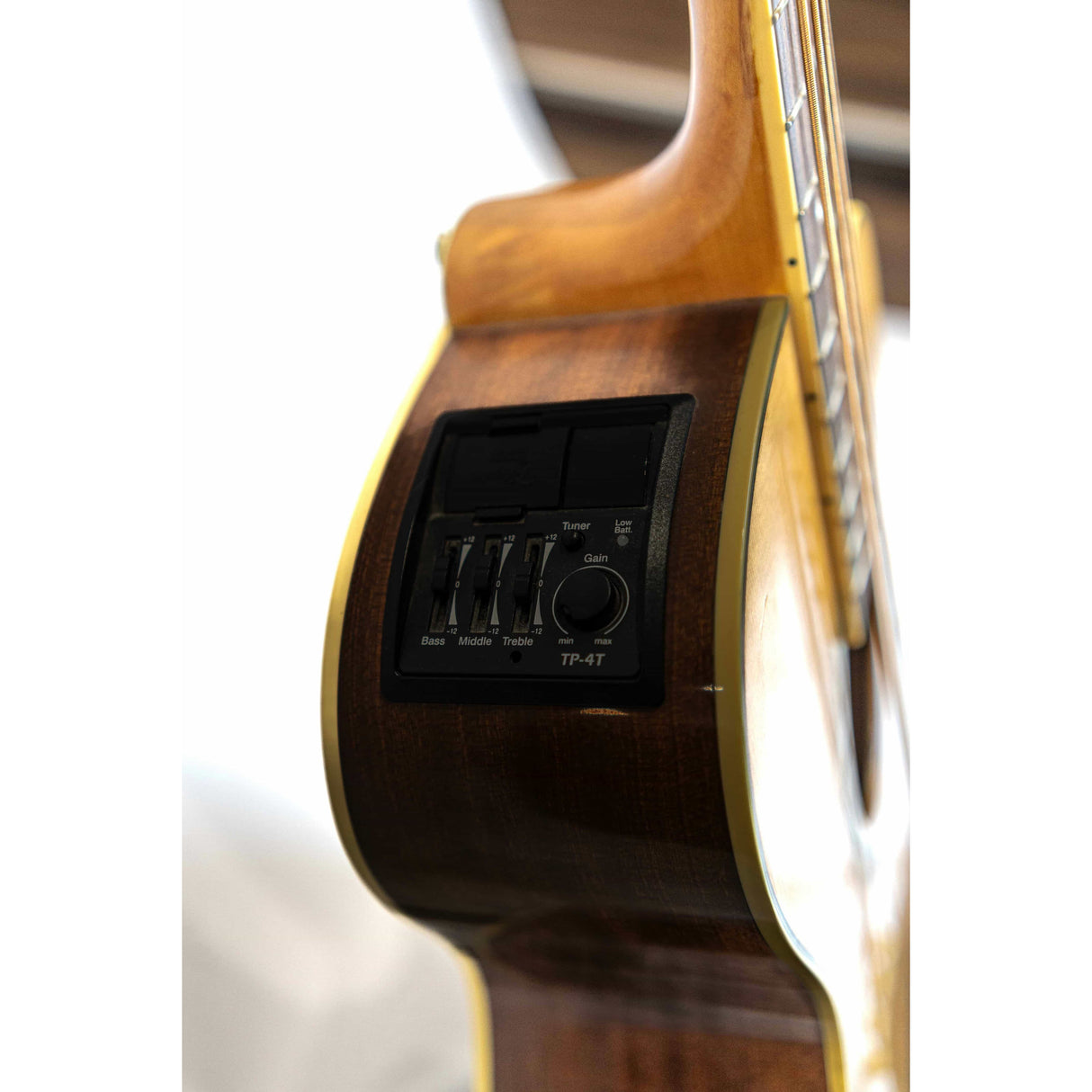 Takamine G Series EGB2S Electro Acoustic Bass (Pre-Owned) - Music Vault