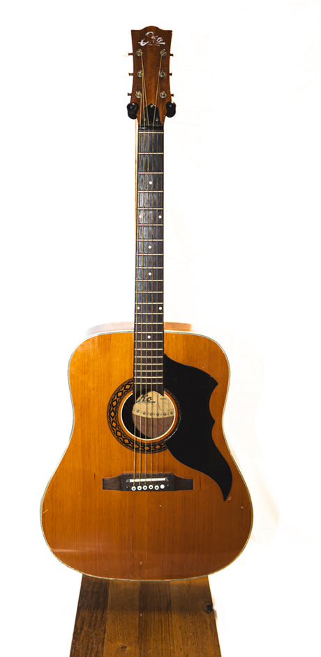 Eko Ranger VI Acoustic Guitar (Pre-Owned) - Music Vault