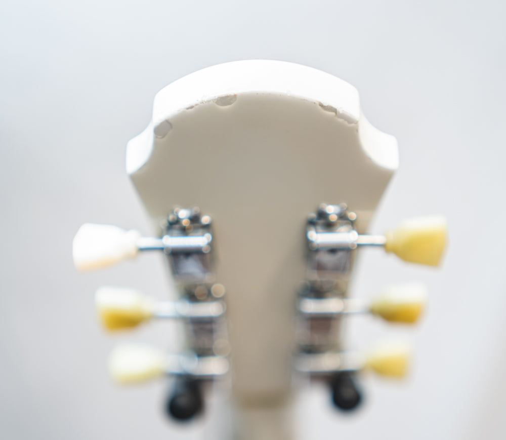 Aria Pro II TA40 Mod Semi Hollow Body Guitar (Pre-Owned) - Music Vault