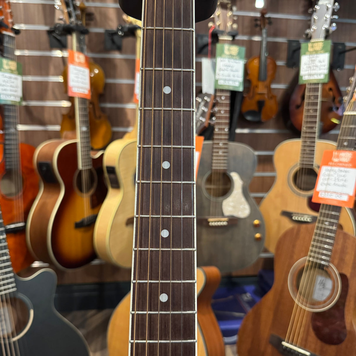 Ibanez Talman TCY12E-OPN Open Pore natural Thinline Electro Acoustic (Pre-Owned)