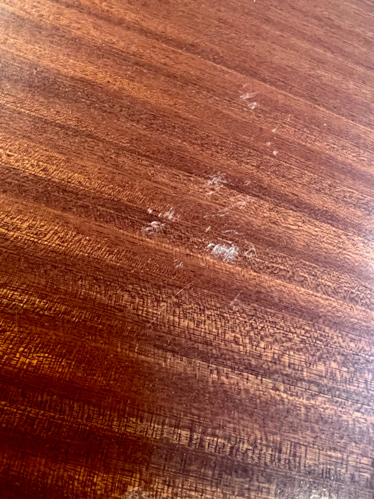 Taylor Academy 12e Electro Acoustic (Pre-Owned) - Music Vault