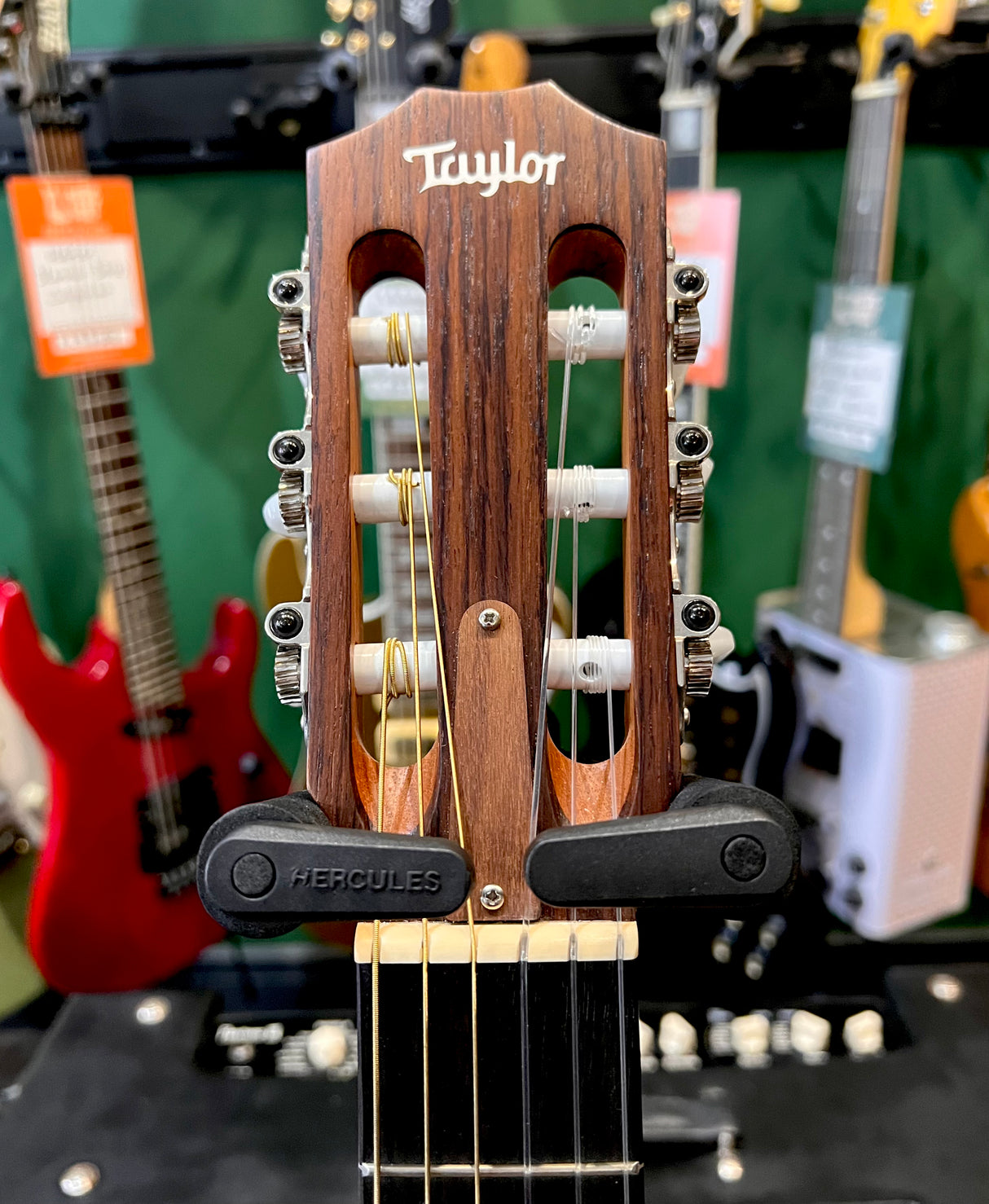 Taylor 214ce-N Grand Auditorium Cutaway Classical Electro Acoustic (Pre-Owned) - Music Vault