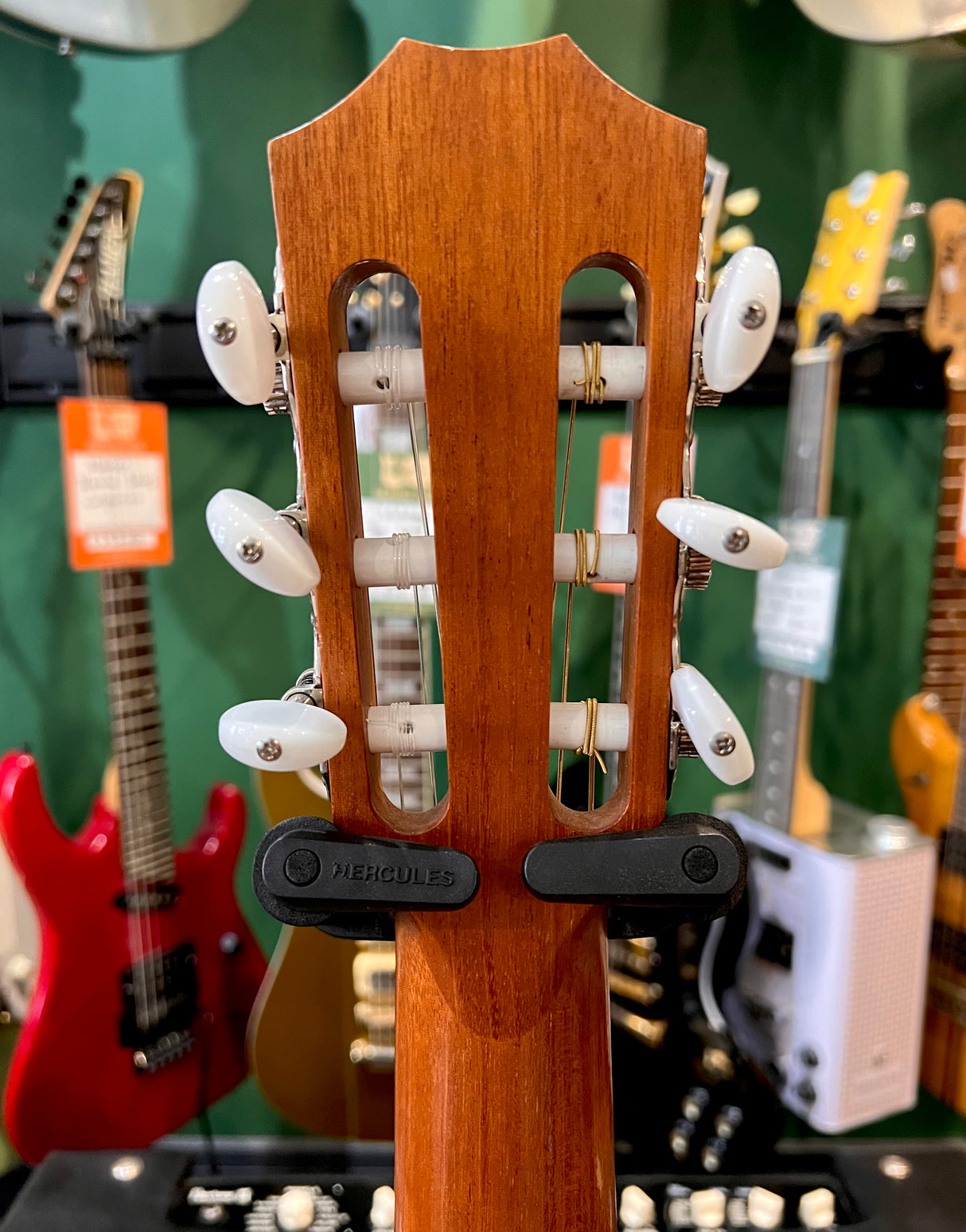 Taylor 214ce-N Grand Auditorium Cutaway Classical Electro Acoustic (Pre-Owned) - Music Vault