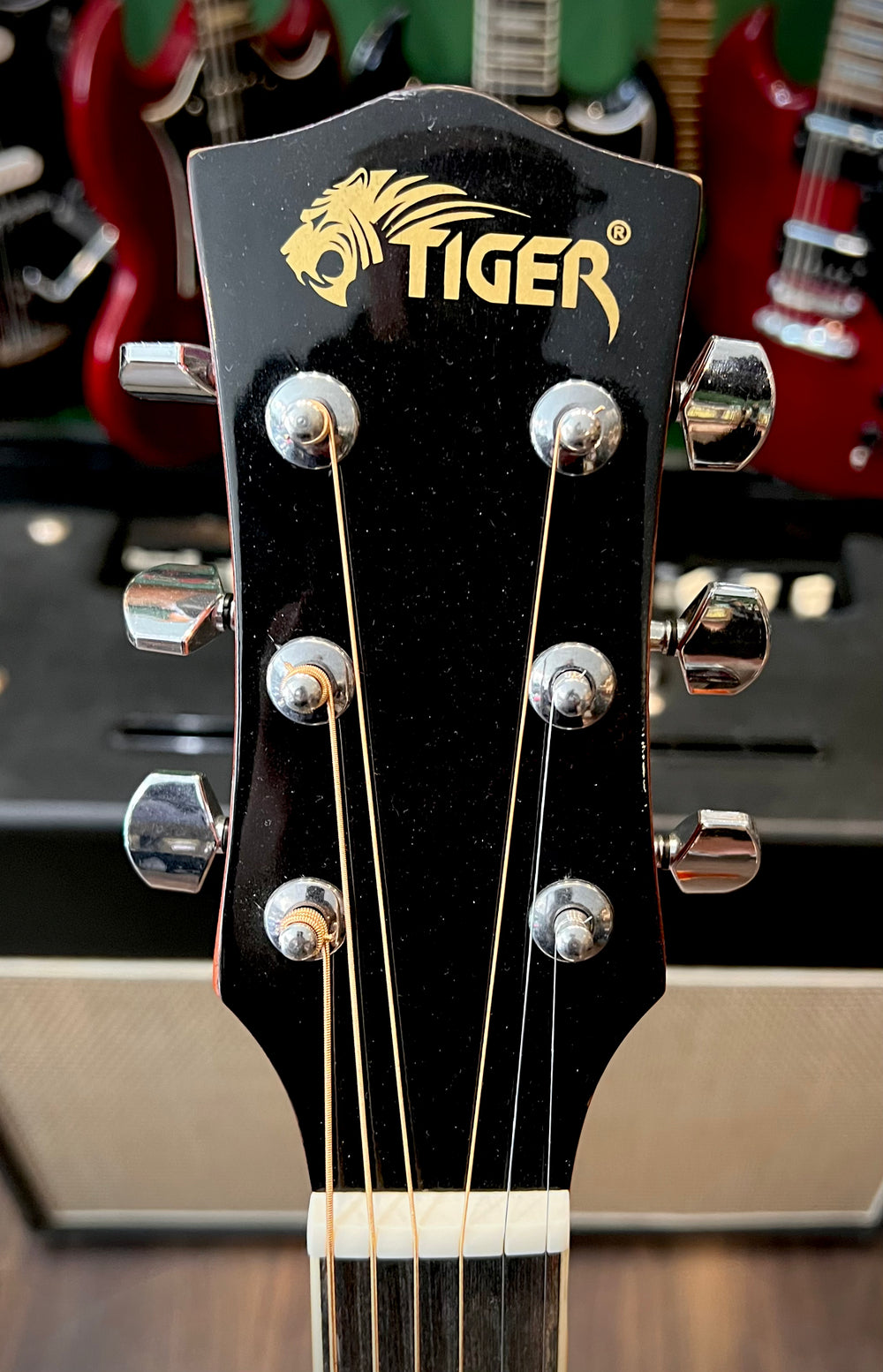 Tiger ACG1-NT Acoustic Guitar (Pre-Owned)