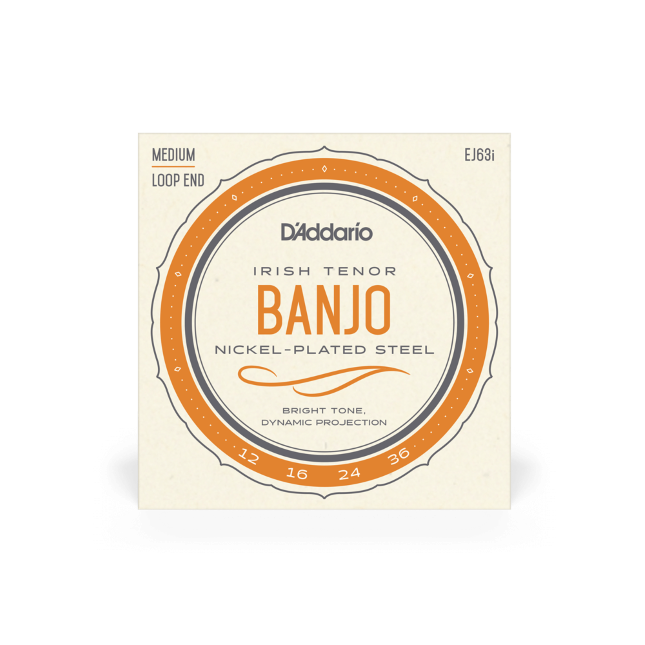 D'Addario Nickel 4-String Irish Tenor Banjo Strings Loop End EJ63i