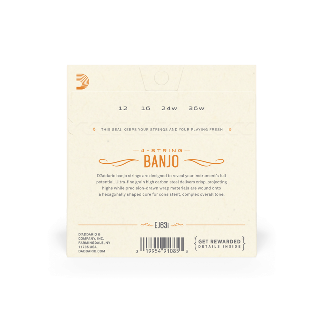 D'Addario Nickel 4-String Irish Tenor Banjo Strings Loop End EJ63i