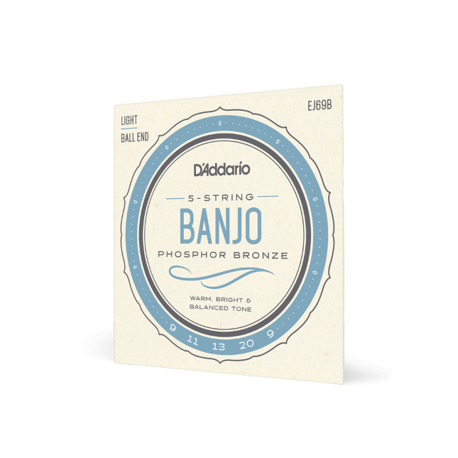 D'Addario Phosphor Bronze 5 String Banjo Strings Ball End EJ69B