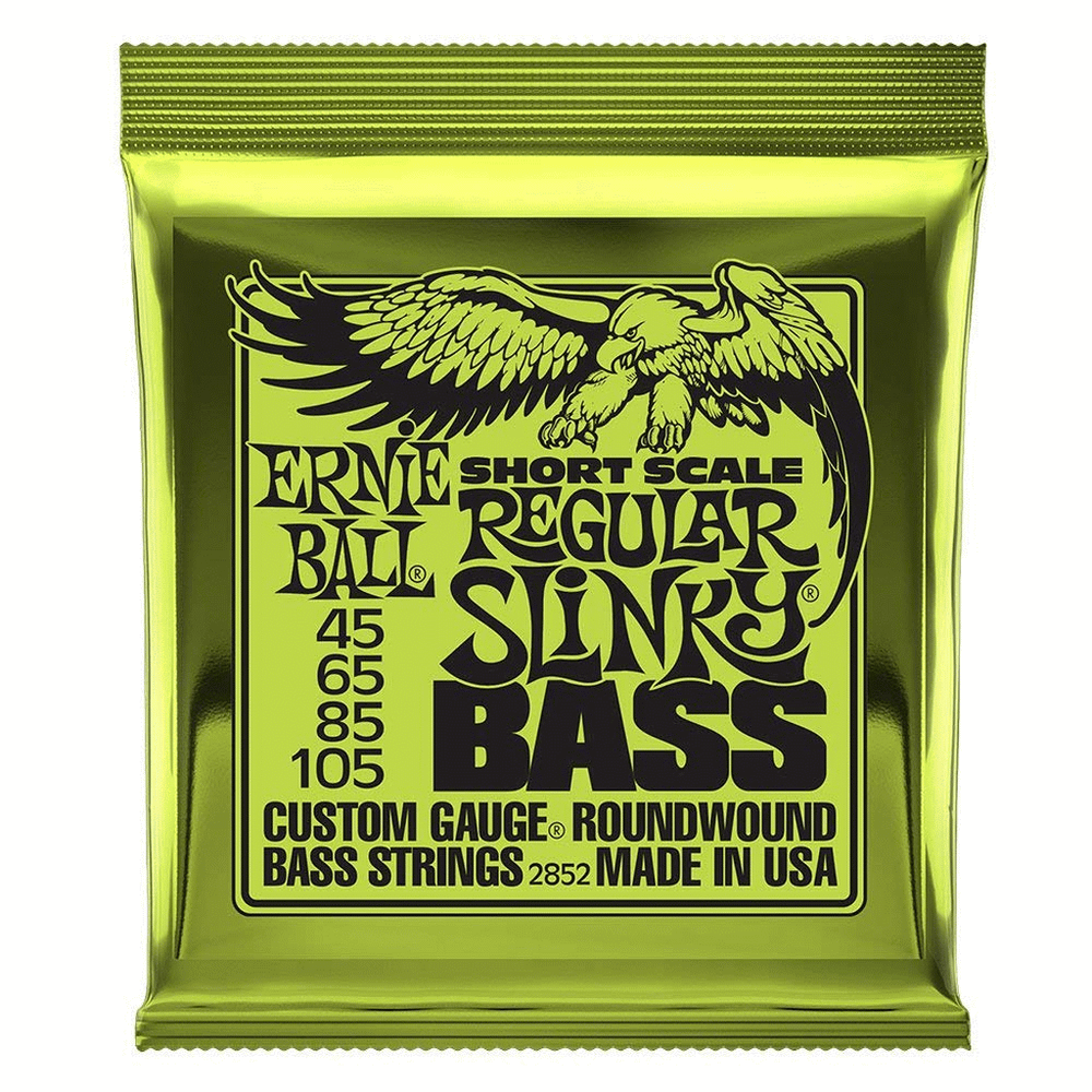 Ernie Ball Regular Slinky Short Scale Bass Strings 45-105 - Music Vault