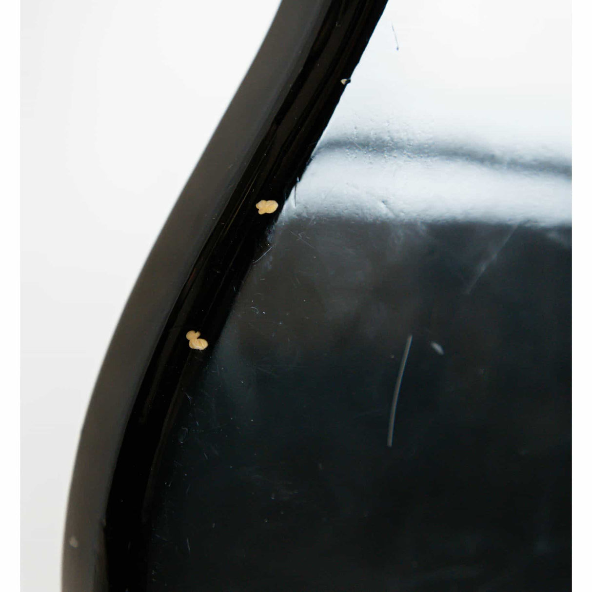 Encore Bass Guitar Black (Pre-Owned) - Music Vault