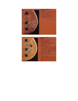 Aria Pro II Tri Sound Series TS500 1980 (Pre-Owned) - Music Vault