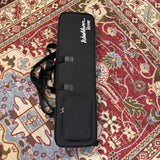 Washburn Rover RO10 Travel Acoustic Guitar (Pre-Owned)