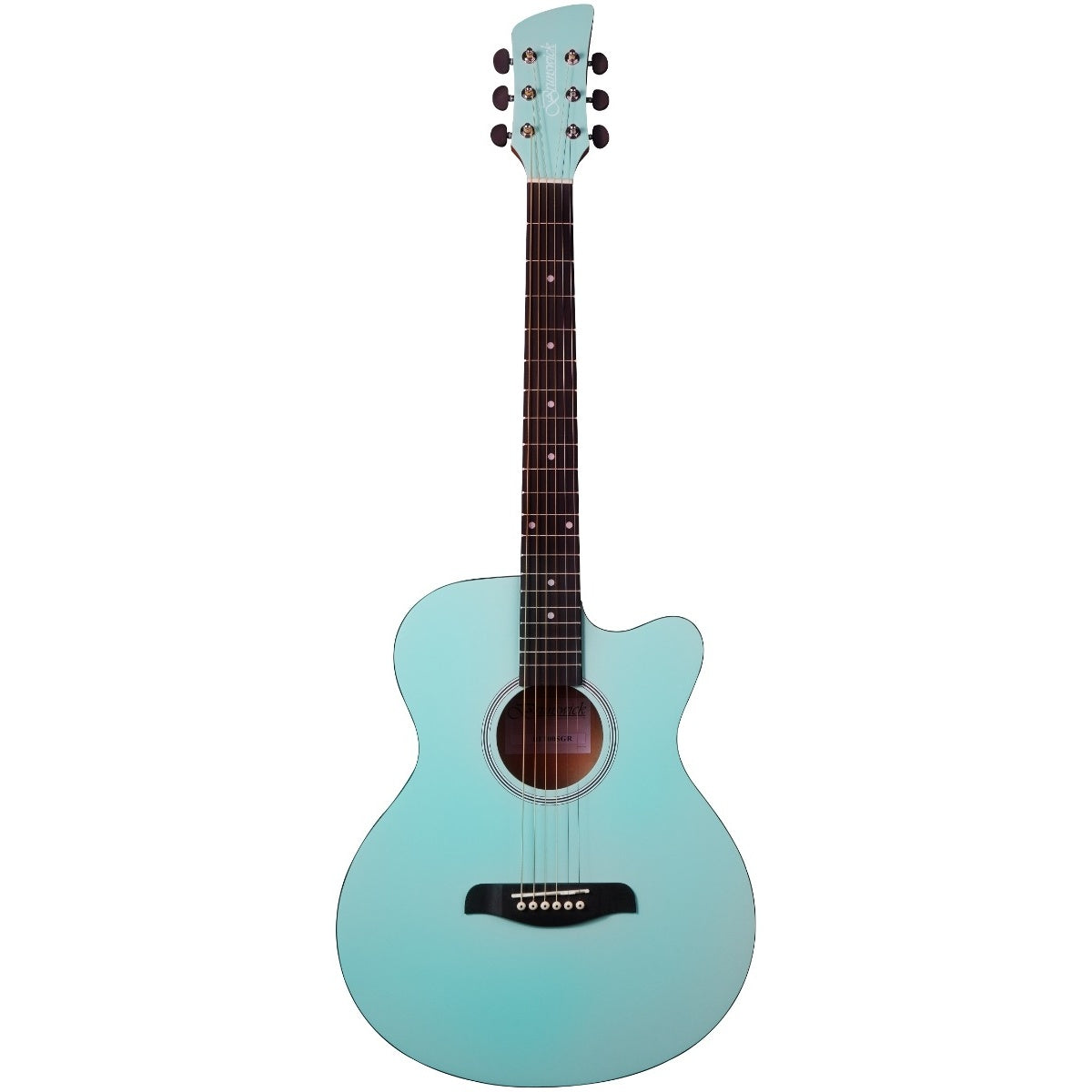 Brunswick BF100 Cutaway Auditorium Acoustic Mint Green