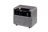 Ortega PTWO-E 12 Watt Battery Powered Electric Guitar Amplifier