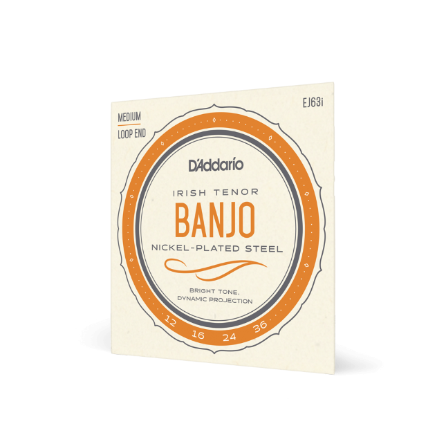 D'Addario Nickel 4-String Irish Tenor Banjo Strings Loop End EJ63i
