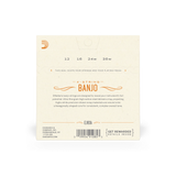 D'Addario Nickel 4-String Irish Tenor Banjo Strings Loop End EJ63i