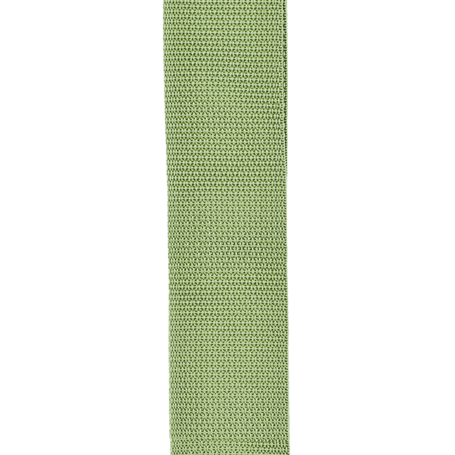 D'Addario Polypropylene Guitar Strap Green