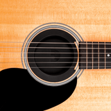 D'Addario Screeching Halt Acoustic Guitar Soundhole Cover