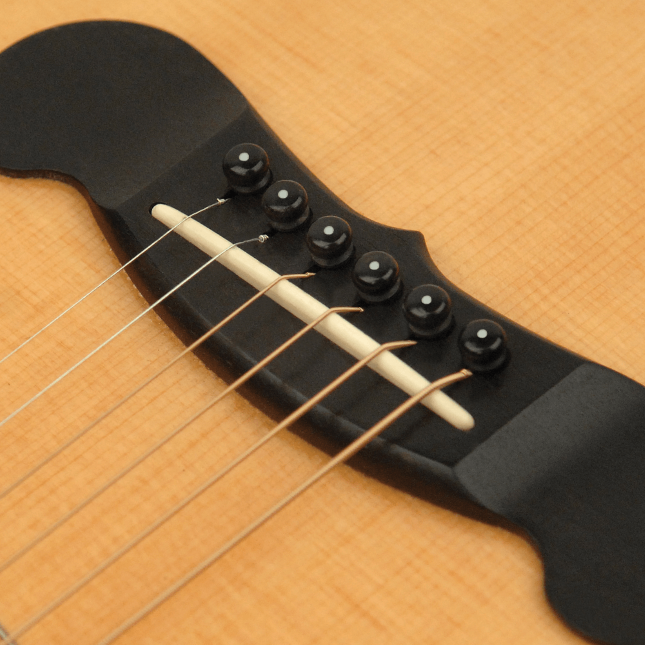 D'Addario Plastic Acoustic Guitar Bridge & End Pins Black