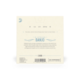 D'Addario Phosphor Bronze 5 String Banjo Strings Ball End EJ69B