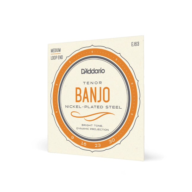 D'Addario Nickel 4-String Tenor Banjo Strings Loop End EJ63
