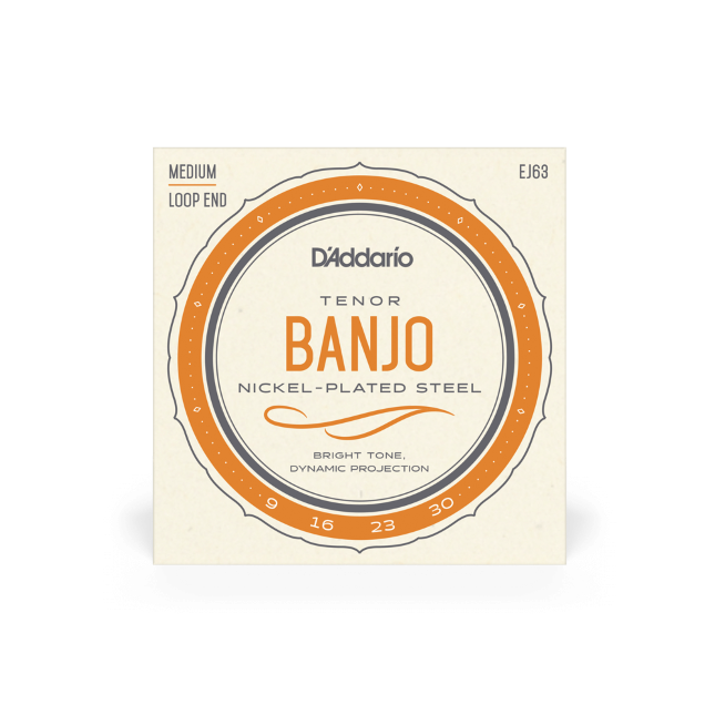 D'Addario Nickel 4-String Tenor Banjo Strings Loop End EJ63