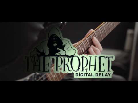TC Electronic The Prophet Digital Delay Pedal (Pre-Owned)