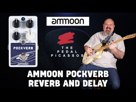 Ammoon Pockverb Reverb & Delay Pedal (Pre-Owned)